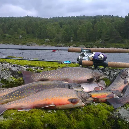 Heddan Gjestegard Πανσιόν 3*