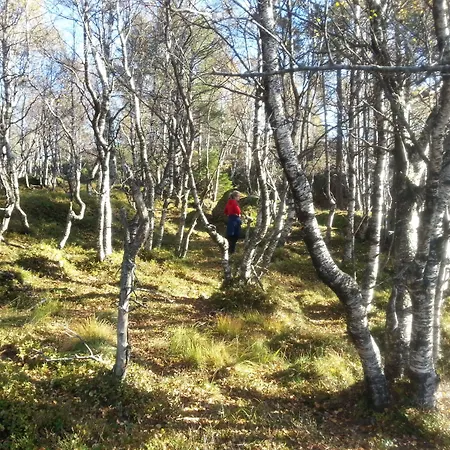 Heddan Gjestegard 3*