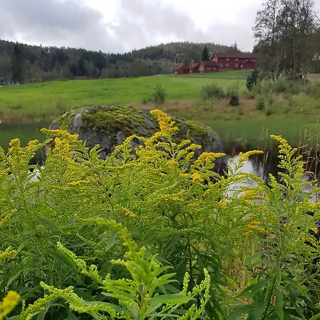 Heddan Gjestegard Penzion