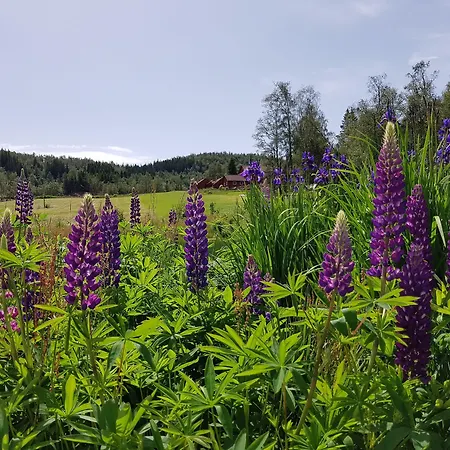 Heddan Gjestegard Tingvatn
