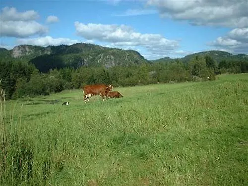 Heddan Gjestegard Penzion